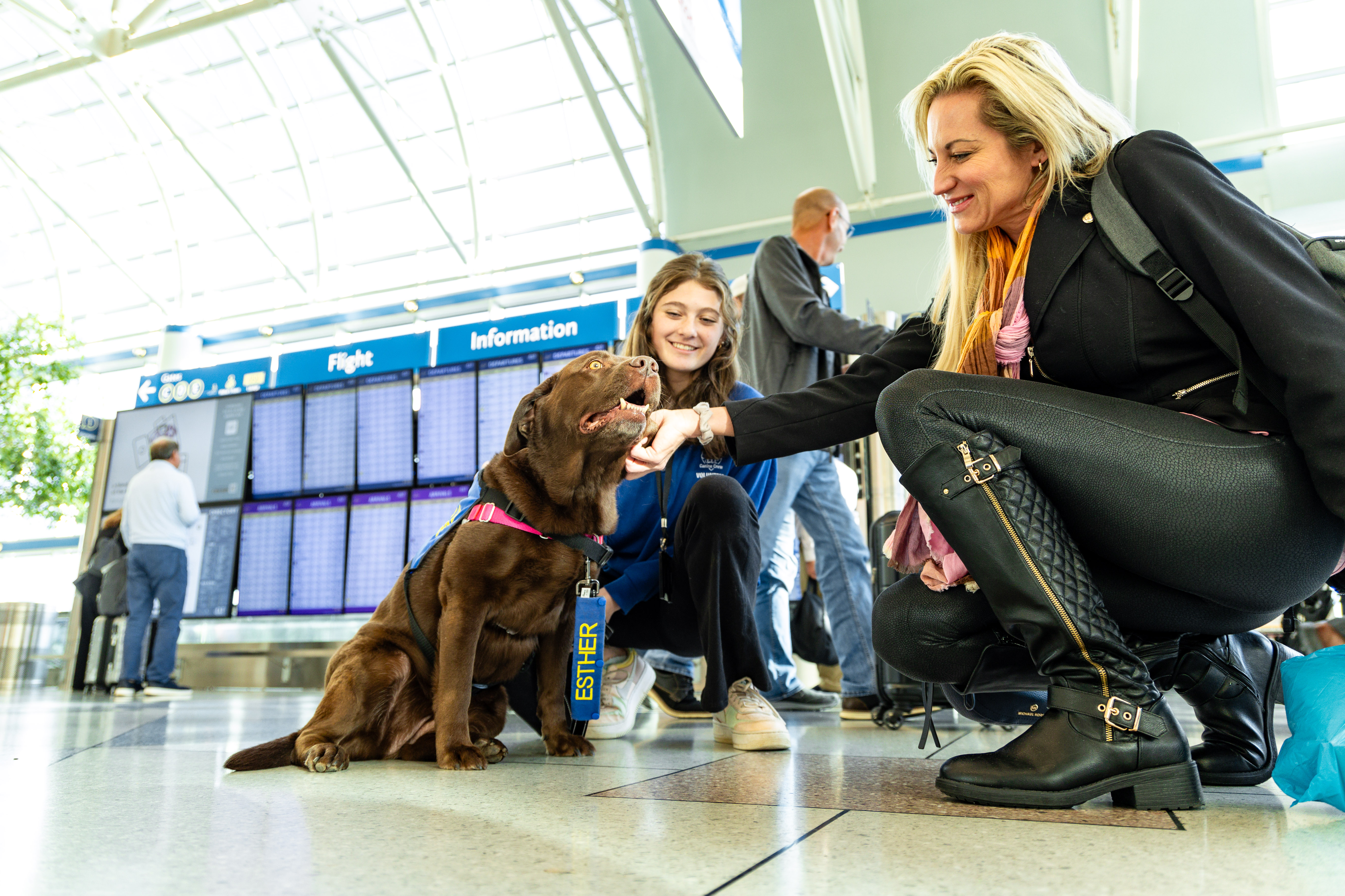 Canine Crew dogs Ella and Esther greet passengers